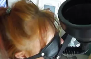 Bbw autobús golpeando pelicula porno completa en español latino